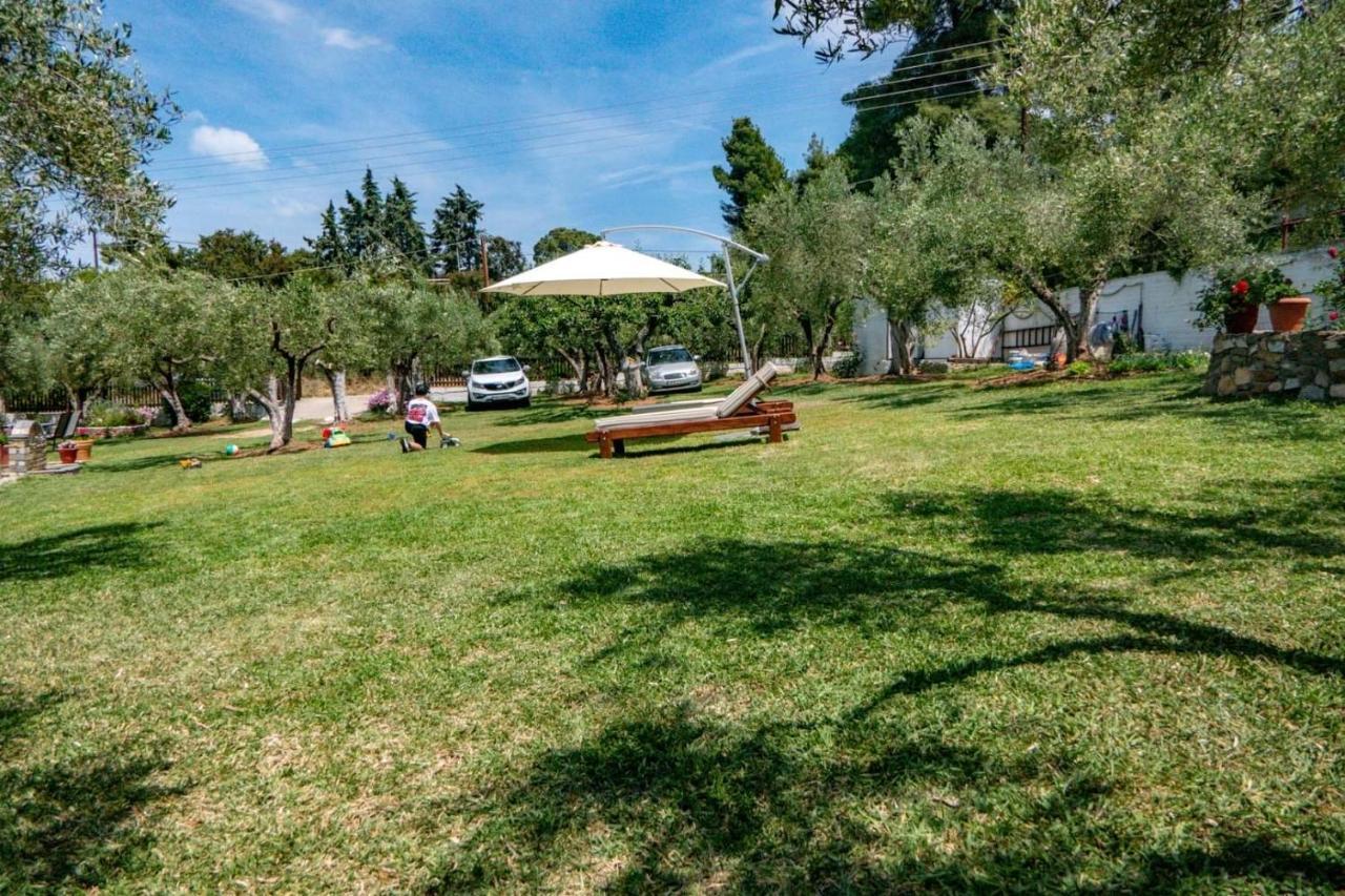 Small Paradise 尼基季 外观 照片